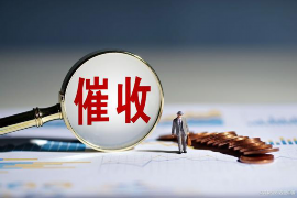 花垣债务清欠服务