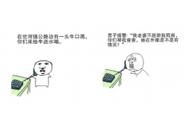 花垣融资清欠服务